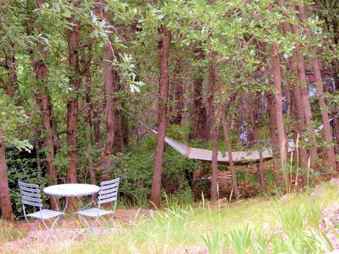 427 E Cherry Ave, Flagstaff, AZ 86001 photo 40