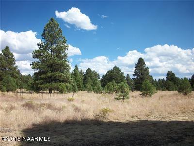 7299 N Apache Ave, Williams, AZ 86046 photo 2