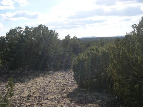 7299 N Apache Ave, Williams, AZ 86046 photo 1