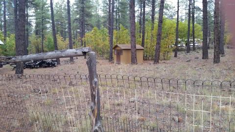 3850 E Pine Cone Dr, Williams, AZ 86046 photo 20