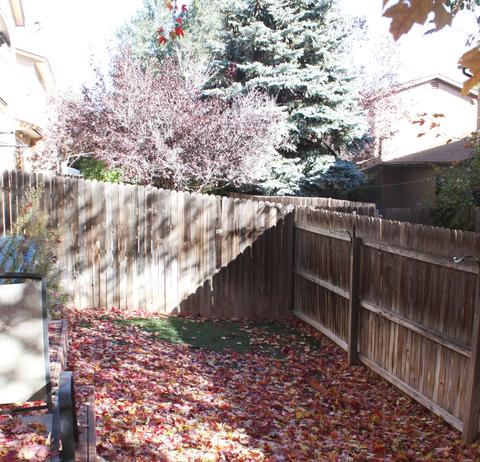 2421 Eva Loop, Flagstaff, AZ 86001 photo 16