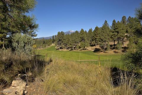1624 E Morgan Run Dr, Flagstaff, AZ 86001 photo 37