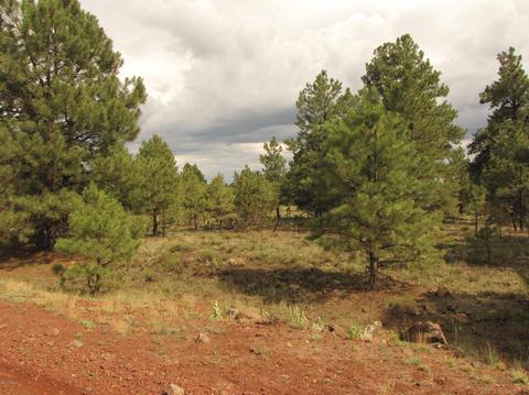 4372 E Deer Farm Rd, Williams, AZ 86046 photo 4