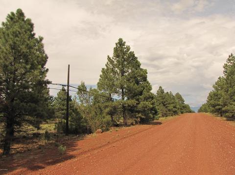 4372 E Deer Farm Rd, Williams, AZ 86046 photo 2