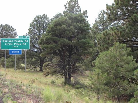 4372 E Deer Farm Rd, Williams, AZ 86046 photo 3