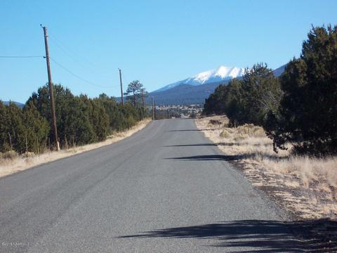 1035 E Hoctor Rd, Williams, AZ 86046 photo 3