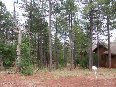 4320 Lariat Loop, Flagstaff, AZ 86001 photo 6