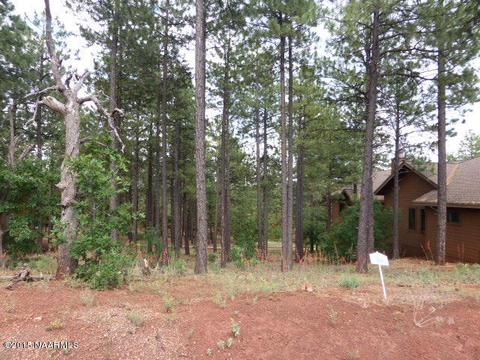 4320 Lariat Loop, Flagstaff, AZ 86001 photo 5