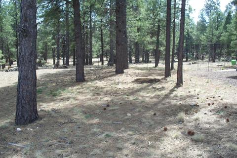 35 E Quartz Rd, Flagstaff, AZ 86005 photo 7