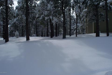 35 E Quartz Rd, Flagstaff, AZ 86005 photo 2