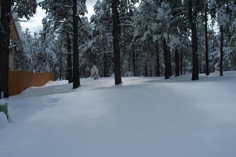 35 E Quartz Rd, Flagstaff, AZ 86005 photo 6