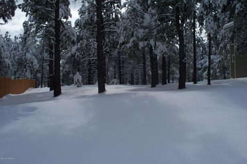 35 E Quartz Rd, Flagstaff, AZ 86005 photo 5