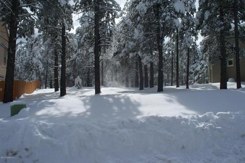 35 E Quartz Rd, Flagstaff, AZ 86005 photo 4