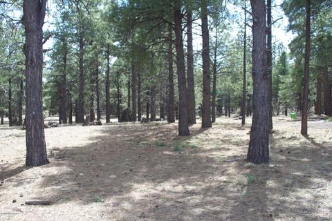 35 E Quartz Rd, Flagstaff, AZ 86005 photo 1