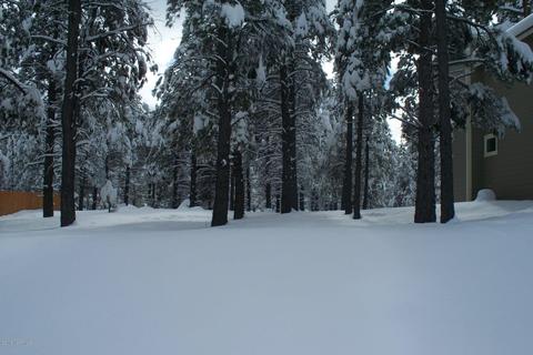 35 E Quartz Rd, Flagstaff, AZ 86005 photo 3