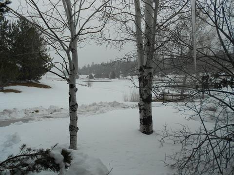 6210 E Willow Loop, Flagstaff, AZ 86004 photo 2