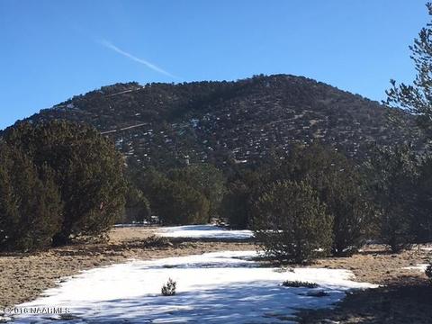 315 E Riverside Dr, Williams, AZ 86046 photo 17