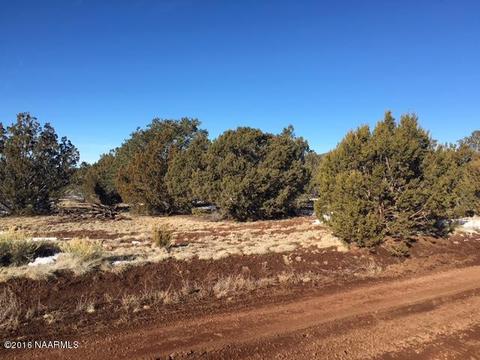 315 E Riverside Dr, Williams, AZ 86046 photo 3