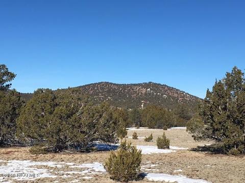 315 E Riverside Dr, Williams, AZ 86046 photo 9