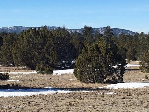 315 E Riverside Dr, Williams, AZ 86046 photo 15