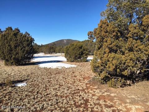 315 E Riverside Dr, Williams, AZ 86046 photo 21