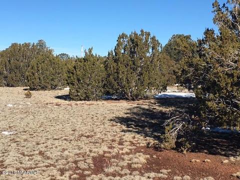 315 E Riverside Dr, Williams, AZ 86046 photo 13