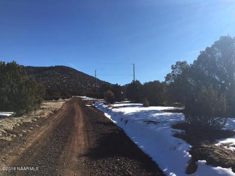 315 E Riverside Dr, Williams, AZ 86046 photo 22