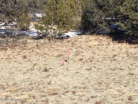 315 E Riverside Dr, Williams, AZ 86046 photo 16