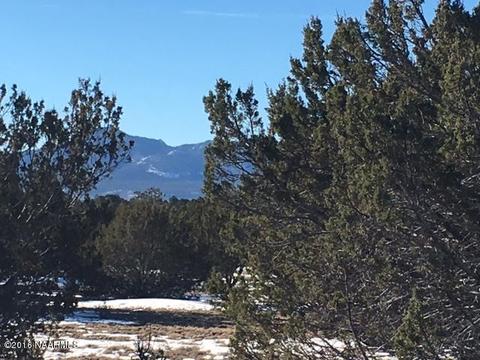 315 E Riverside Dr, Williams, AZ 86046 photo 14