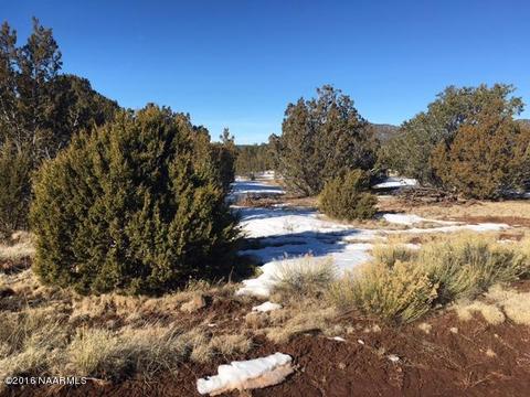 287 E Riverside Dr, Williams, AZ 86046 photo 4