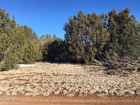 287 E Riverside Dr, Williams, AZ 86046 photo 6