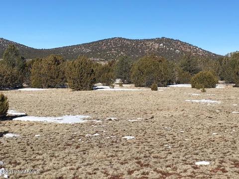 287 E Riverside Dr, Williams, AZ 86046 photo 12