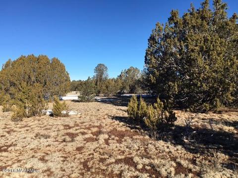 287 E Riverside Dr, Williams, AZ 86046 photo 7