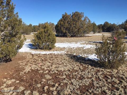 287 E Riverside Dr, Williams, AZ 86046 photo 18