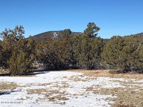 287 E Riverside Dr, Williams, AZ 86046 photo 10