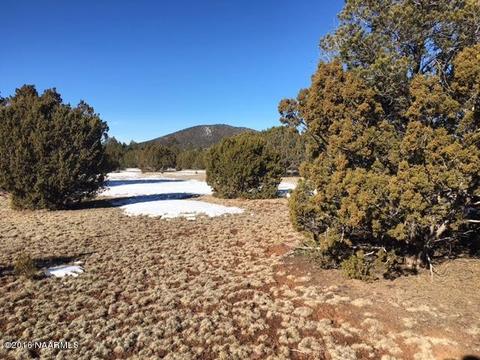 287 E Riverside Dr, Williams, AZ 86046 photo 20