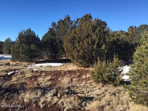 287 E Riverside Dr, Williams, AZ 86046 photo 5