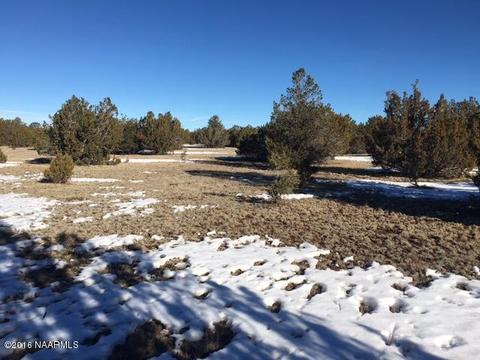 287 E Riverside Dr, Williams, AZ 86046 photo 8
