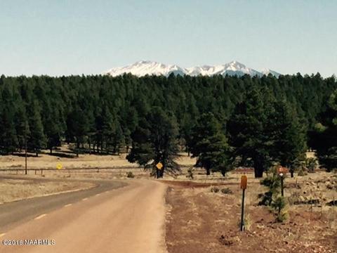 7663 E Long Bow Dr, Williams, AZ 86046 photo 5