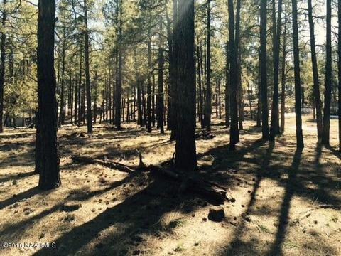 7663 E Long Bow Dr, Williams, AZ 86046 photo 3