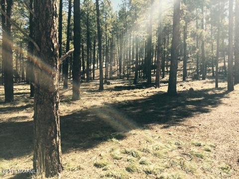 7663 E Long Bow Dr, Williams, AZ 86046 photo 2