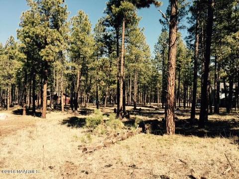 7663 E Long Bow Dr, Williams, AZ 86046 photo 1