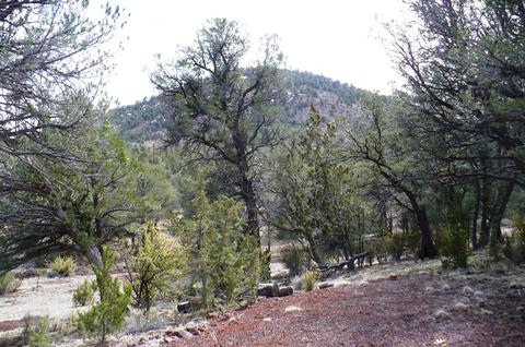 1758 E Spring Vly, Williams, AZ 86046 photo 52