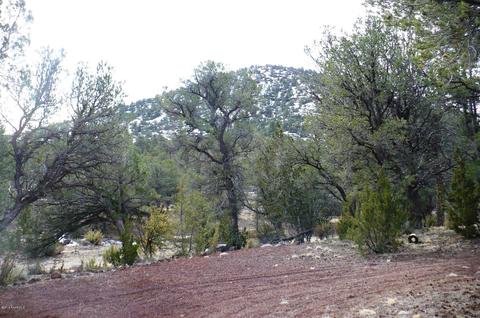 1758 E Spring Vly, Williams, AZ 86046 photo 51