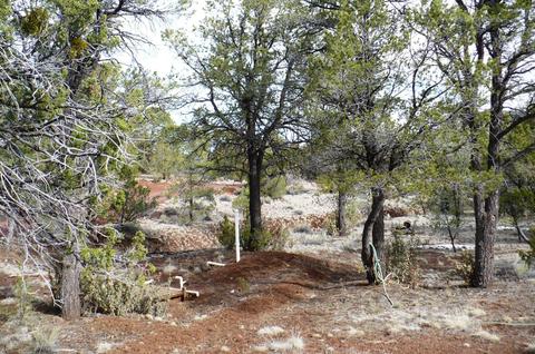 1758 E Spring Vly, Williams, AZ 86046 photo 49