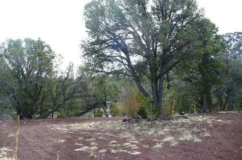 1758 E Spring Vly, Williams, AZ 86046 photo 50