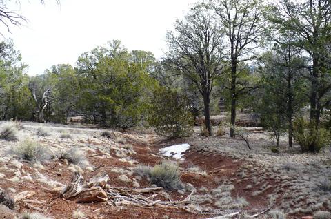 1758 E Spring Vly, Williams, AZ 86046 photo 48
