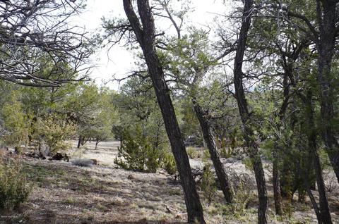 1758 E Spring Vly, Williams, AZ 86046 photo 47