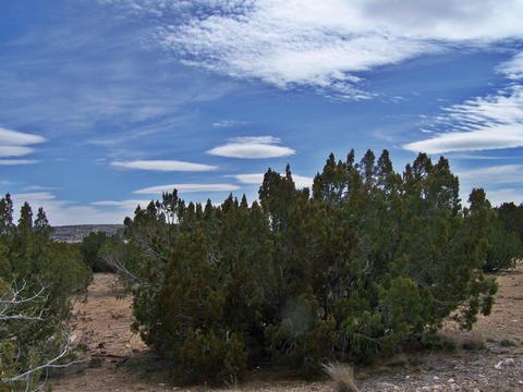 7417 N Apache Ave, Williams, AZ 86046 photo 4