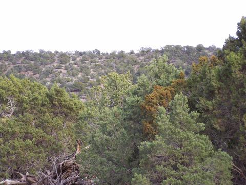 7417 N Apache Ave, Williams, AZ 86046 photo 2